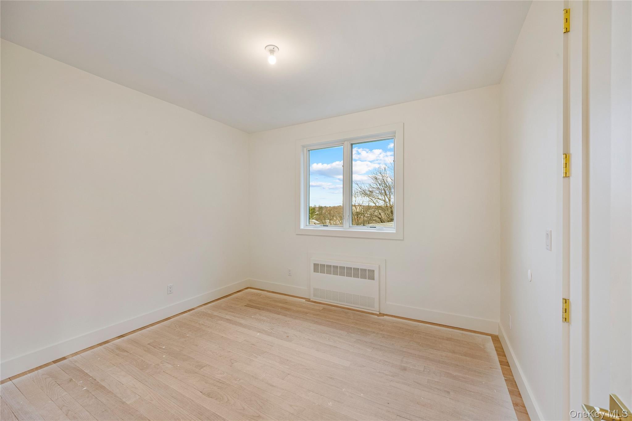 12 Buckman Place, Unit 101 Monsey, NY 10952 - Photo 29 of 50 Spare room featuring light wood-type flooring and radiator