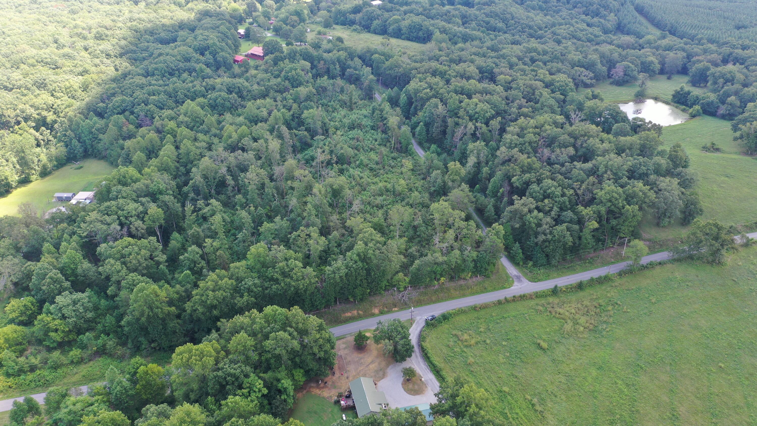4447 Beaver Hill Road Pikeville, TN 37367 - Photo 4 of 9 DJI_0990