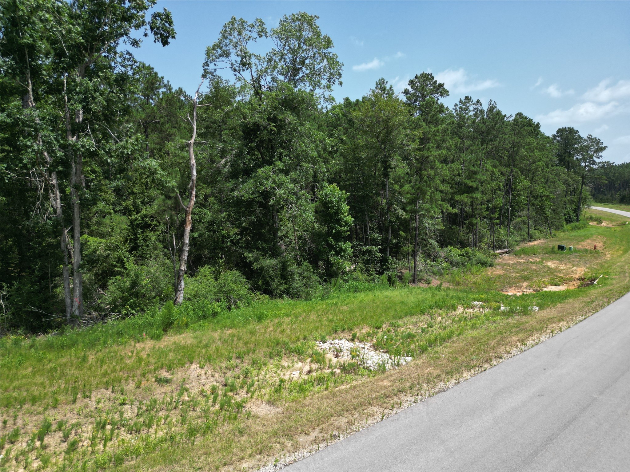 15884 Ridge Oak Road Willis, TX 77378 - Photo 9 of 24