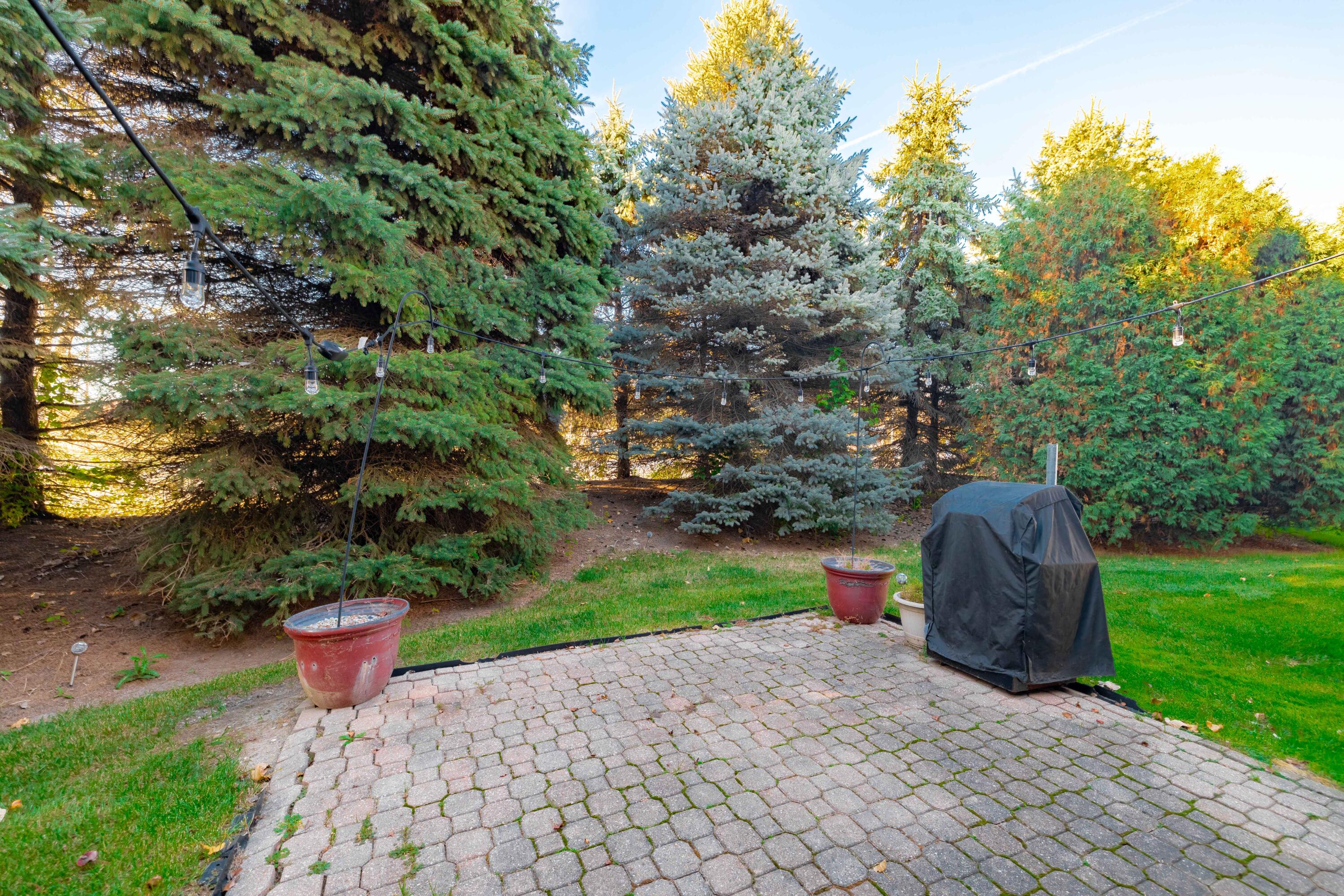 22450 Timber Ridge Court Woodhaven, MI 48183 - Photo 35 of 35 22450 Timber Ridge, Woodhaven (35 of 35)