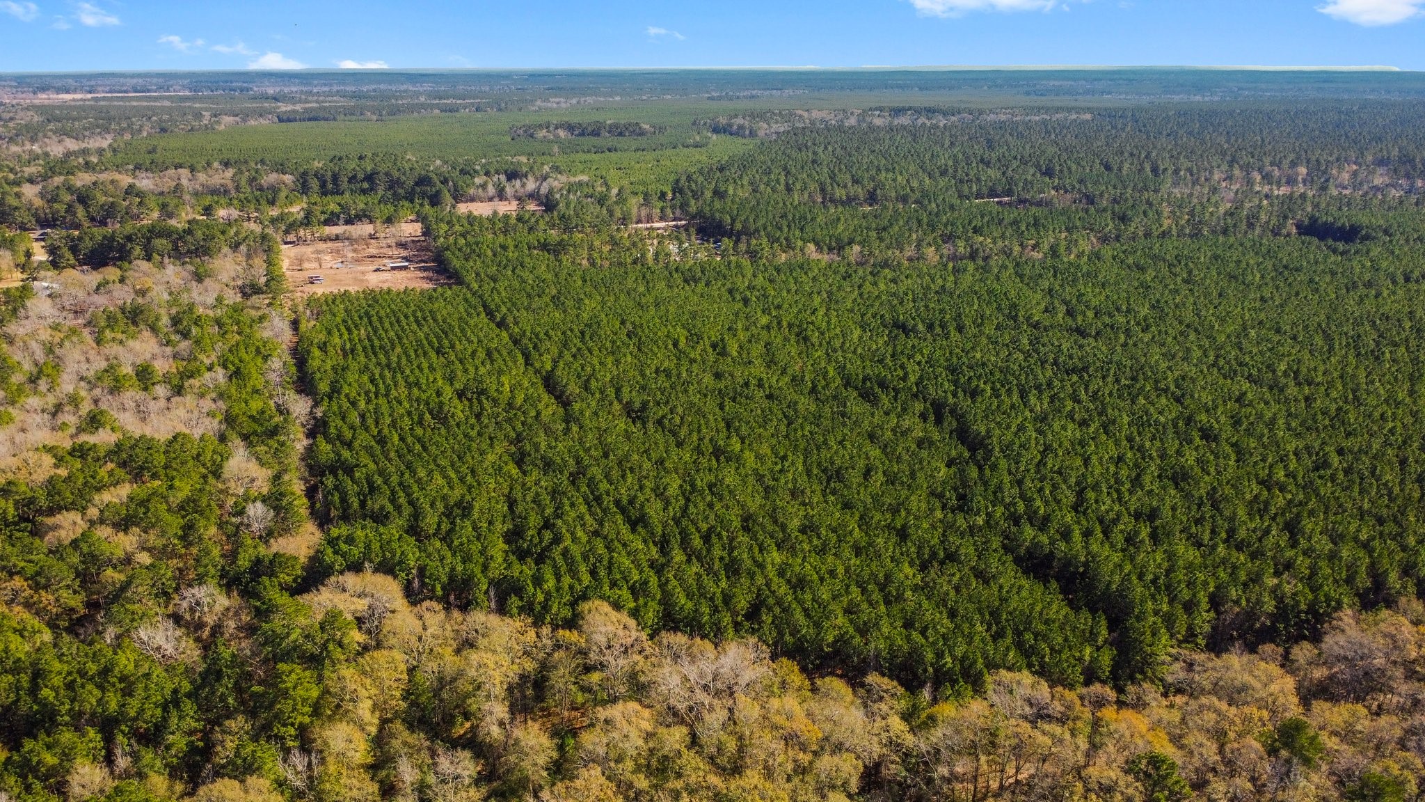 970 Josserand Road Groveton, TX 75845 - Photo 15 of 16 a view of city and mountain