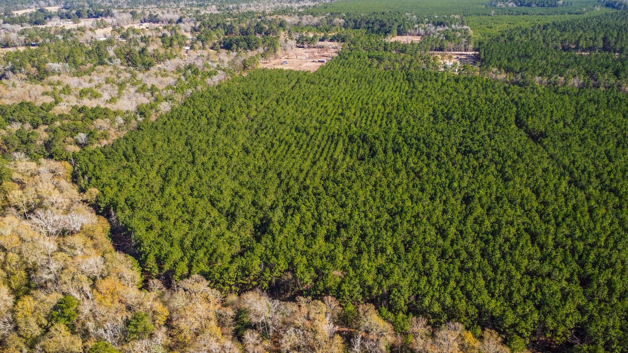 970 Josserand Road Groveton, TX 75845 - Photo 16 of 16 a view of a lake view