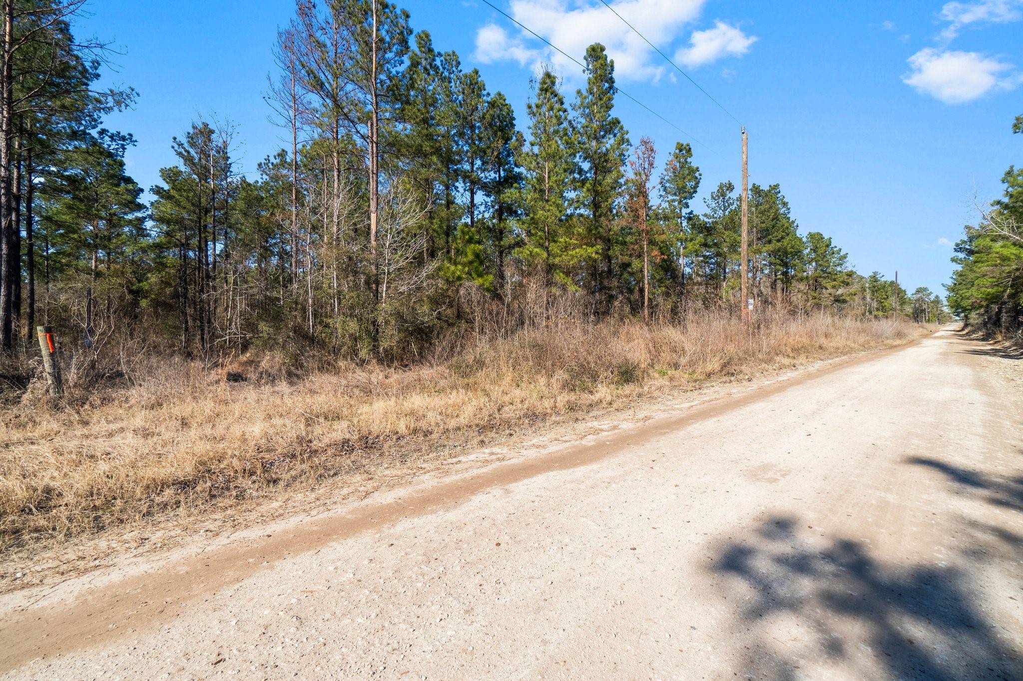 970 Josserand Road Groveton, TX 75845 - Photo 10 of 16 a view of a yard with a tree