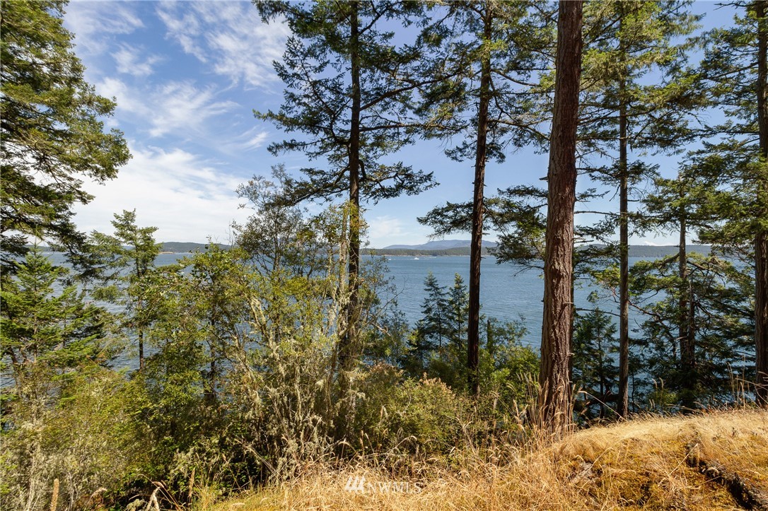 516 Big Foot Road Friday Harbor, WA 98250 - Photo 11 of 17 Gallery Image 11