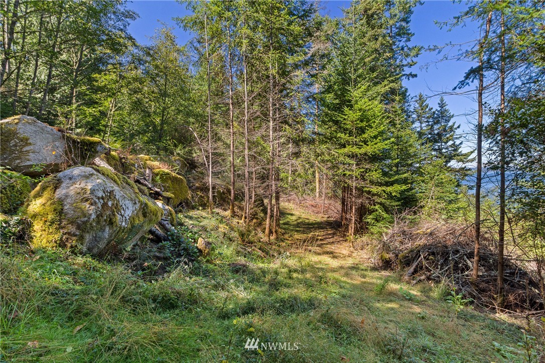 516 Big Foot Road Friday Harbor, WA 98250 - Photo 12 of 17 Gallery Image 12