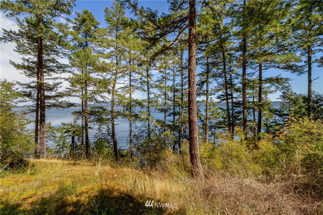 516 Big Foot Road Friday Harbor, WA 98250 - Photo 13 of 17 Gallery Image 13
