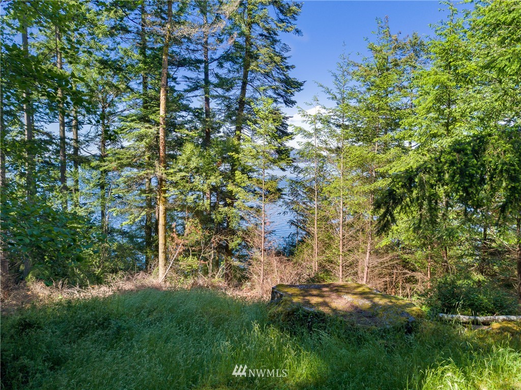 516 Big Foot Road Friday Harbor, WA 98250 - Photo 14 of 17 Gallery Image 14