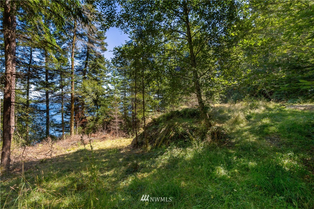 516 Big Foot Road Friday Harbor, WA 98250 - Photo 15 of 17 Gallery Image 15