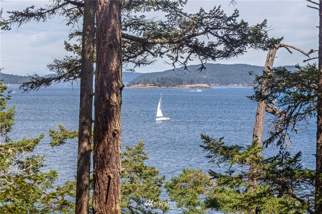 516 Big Foot Road Friday Harbor, WA 98250 - Photo 16 of 17 Gallery Image 16