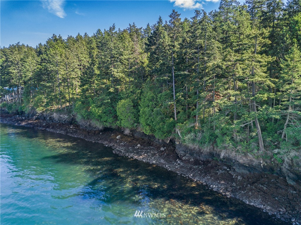 516 Big Foot Road Friday Harbor, WA 98250 - Photo 5 of 17 Gallery Image 5
