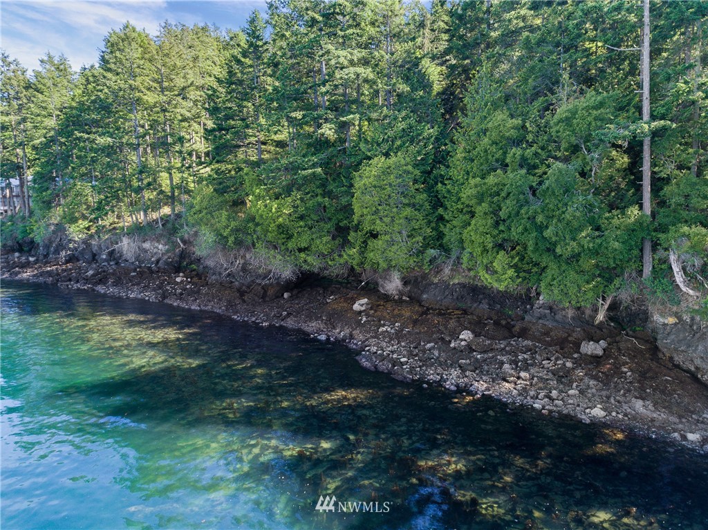 516 Big Foot Road Friday Harbor, WA 98250 - Photo 6 of 17 Gallery Image 6