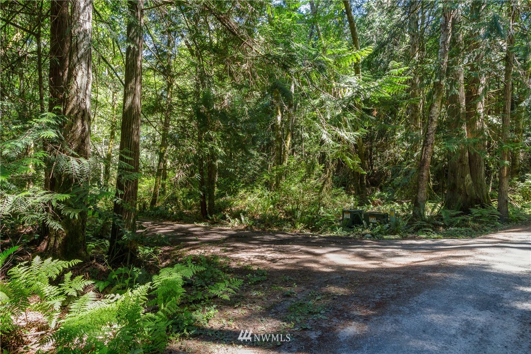 516 Big Foot Road Friday Harbor, WA 98250 - Photo 8 of 17 Gallery Image 8