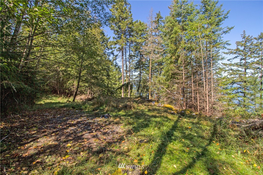 516 Big Foot Road Friday Harbor, WA 98250 - Photo 10 of 17 Gallery Image 10