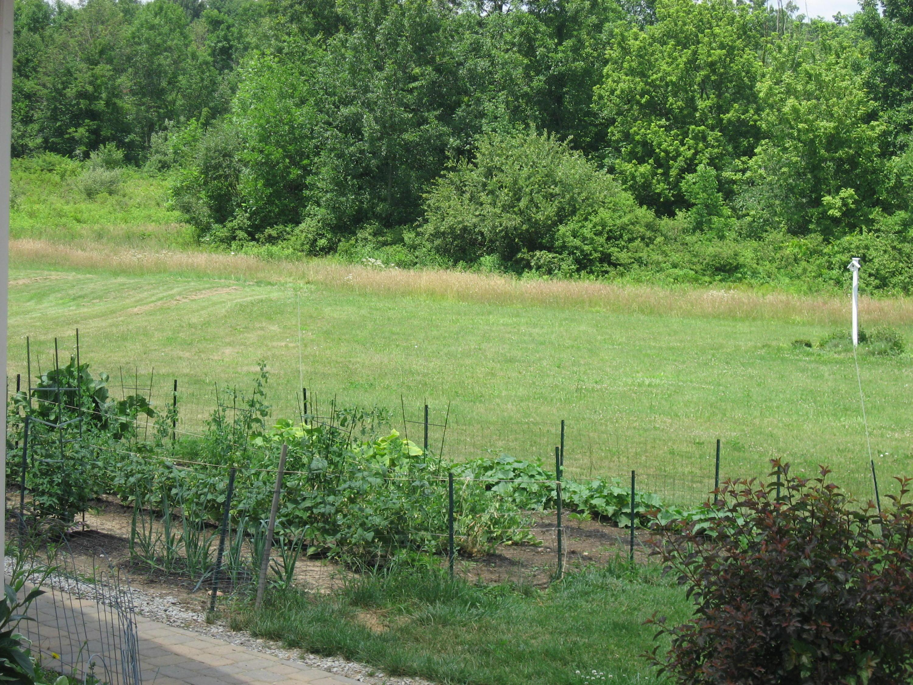 3136 Van Fossen Road Utica, OH 43080 - Photo 6 of 51 Gallery Image 6