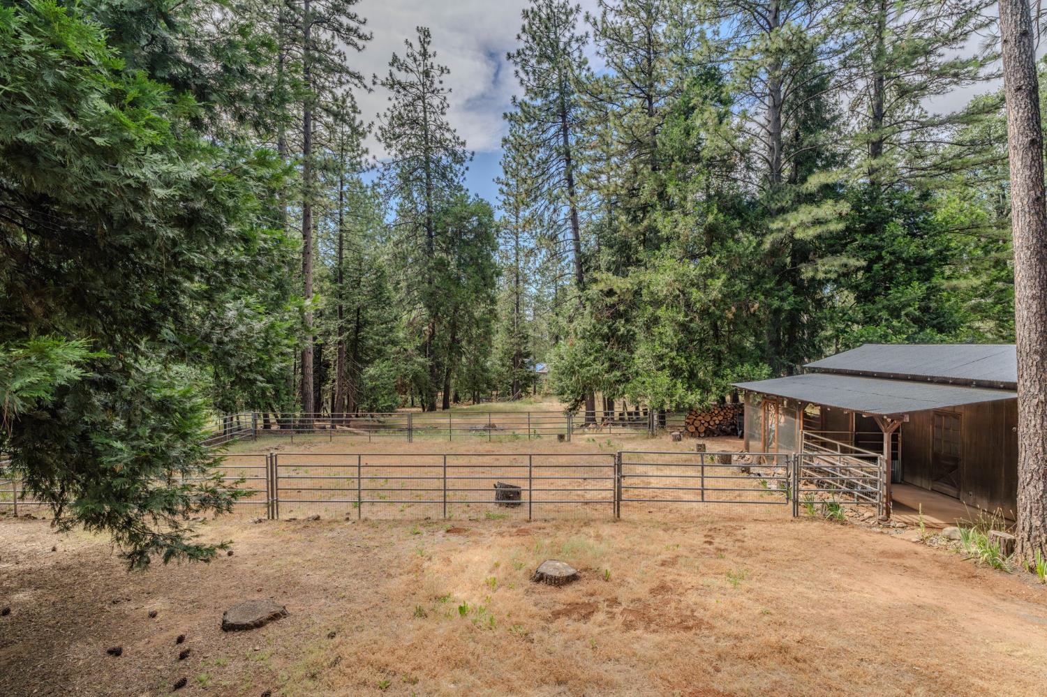 23823 Shake Ridge Road Volcano, CA 95689 - Photo 64 of 80