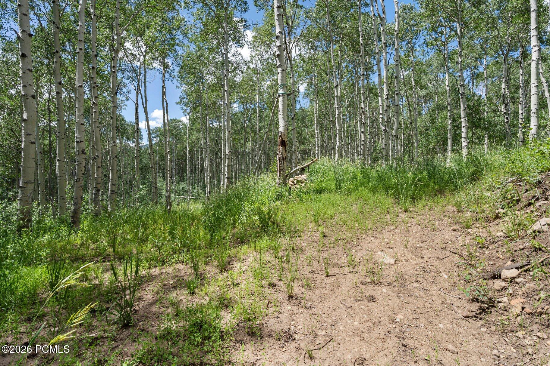 2086 West Bright Star Road Park City, UT 84060 - Photo 4 of 14
