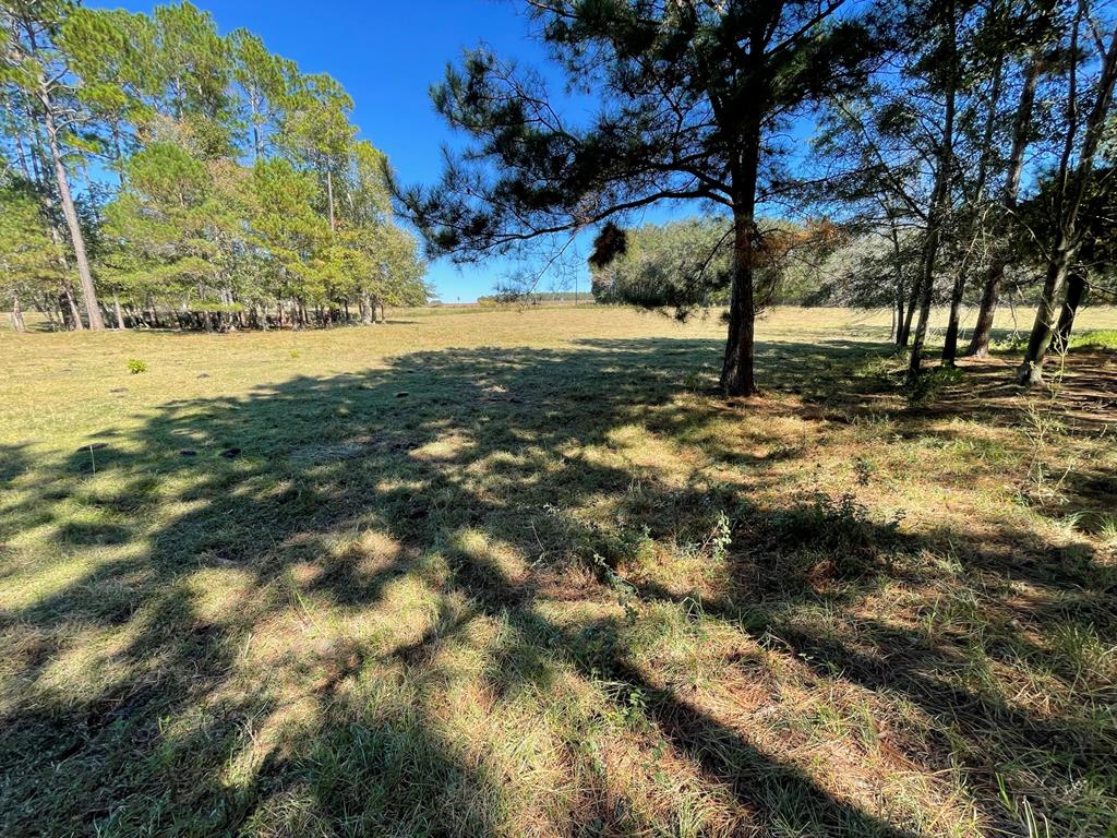 0 Ozell Road Boston, GA 31626 - Photo 44 of 46 Gallery Image 44