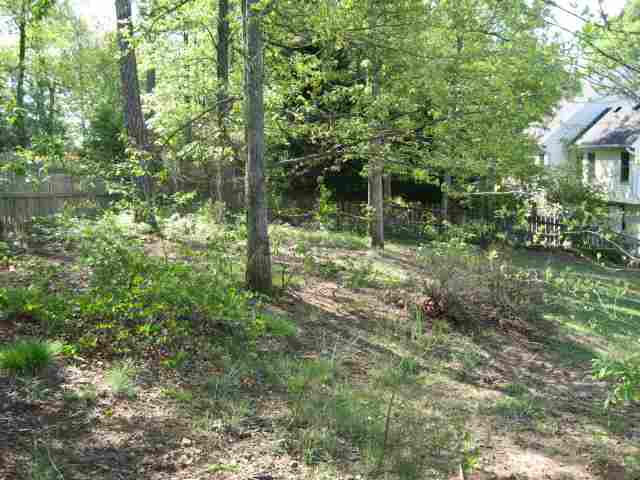221 Rock Road, Unit PELHAM Greer, SC 29651 - Photo 23 of 24 Gallery Image 23