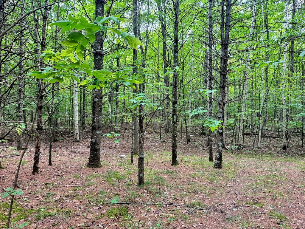 5-acres Logerquist Road Baileys Harbor, WI 54202 - Photo 4 of 13 Gallery Image 4