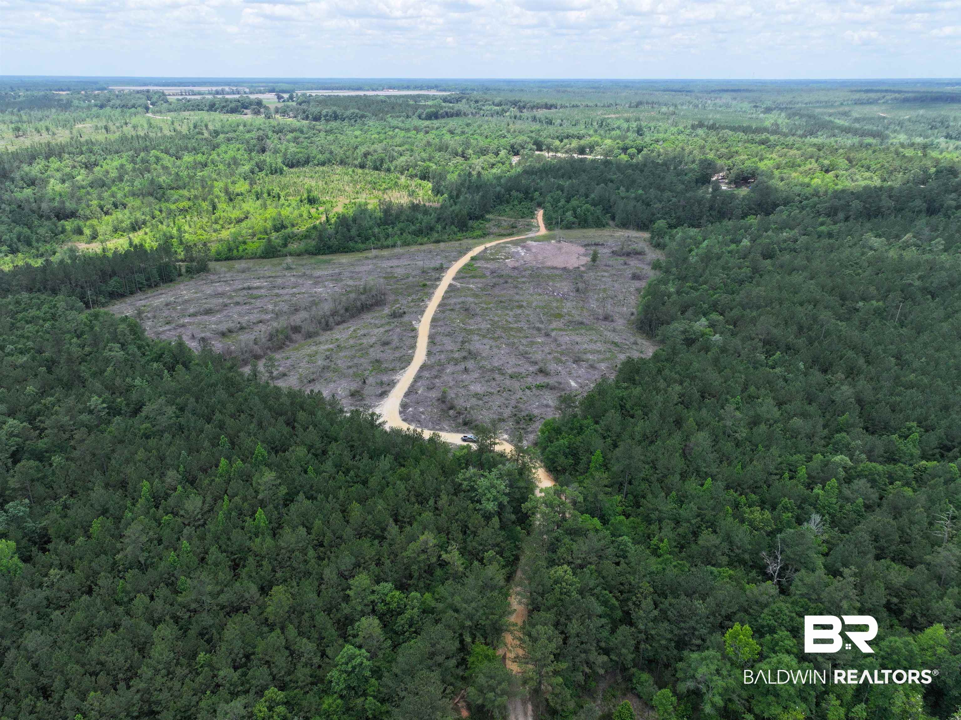 0 Sardis Church Road Atmore, AL 36502 - Photo 5 of 10