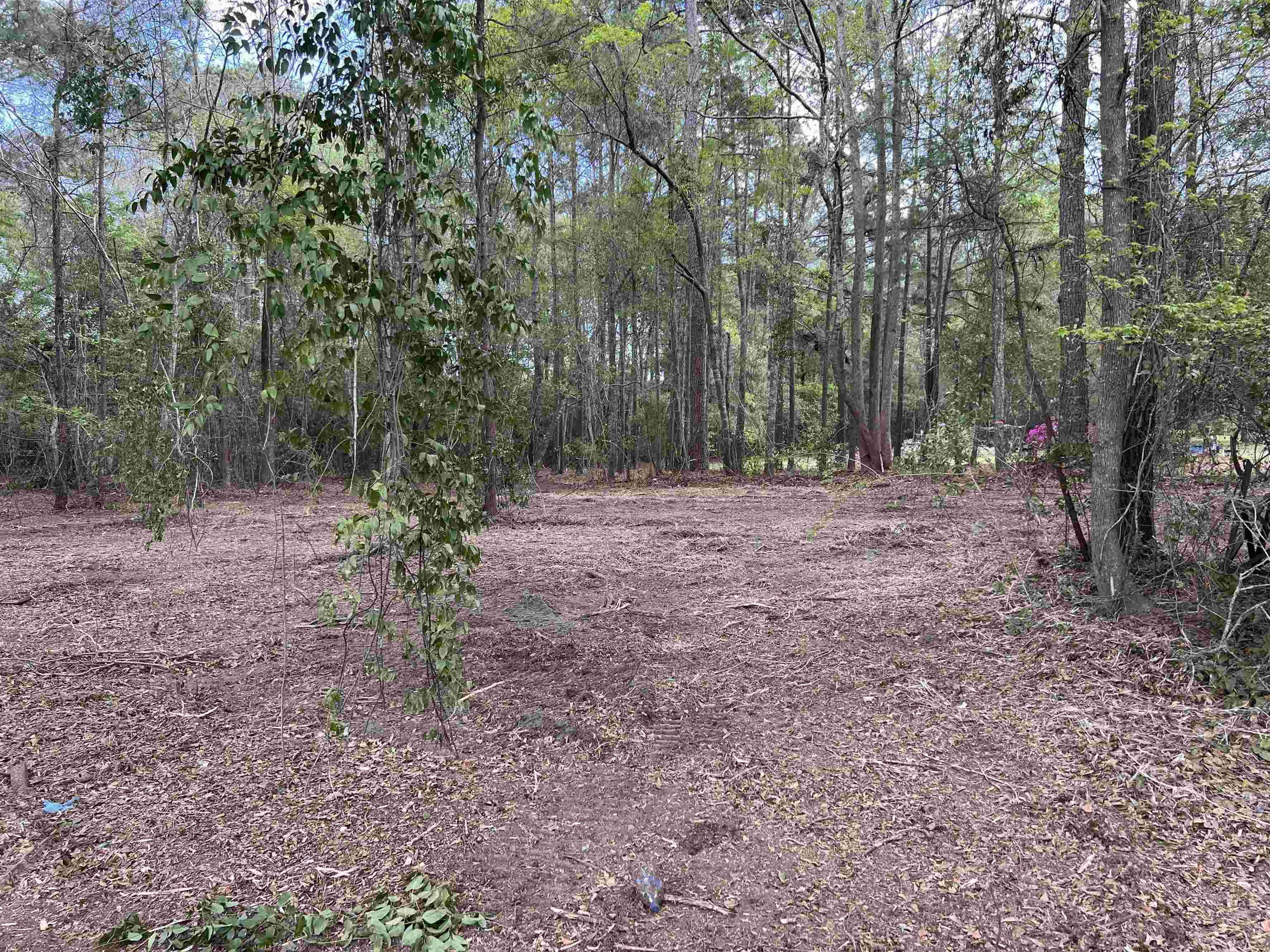 11094 Old Pee Dee Road Hemingway, SC 29554 - Photo 6 of 9