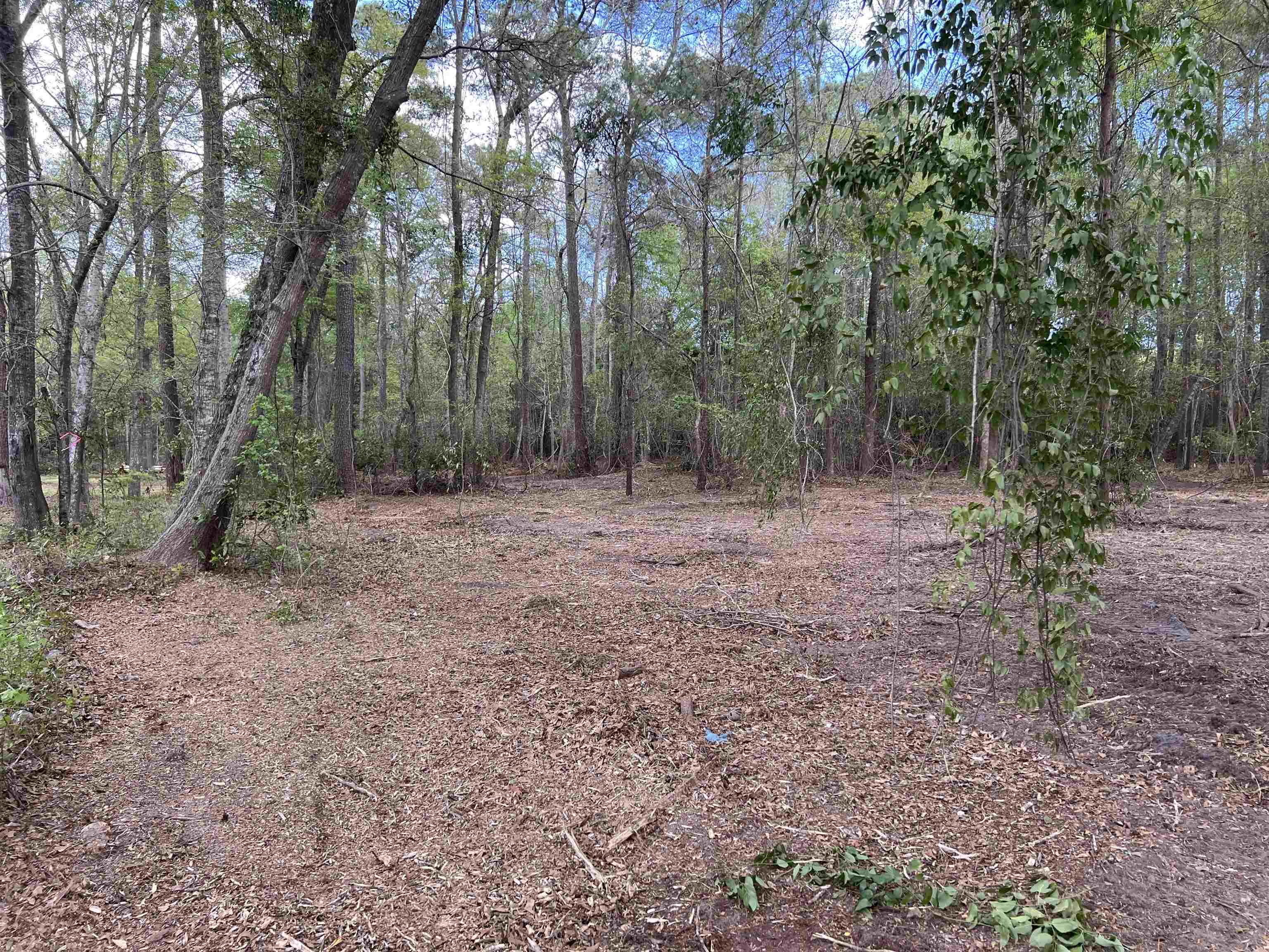 11094 Old Pee Dee Road Hemingway, SC 29554 - Photo 7 of 9