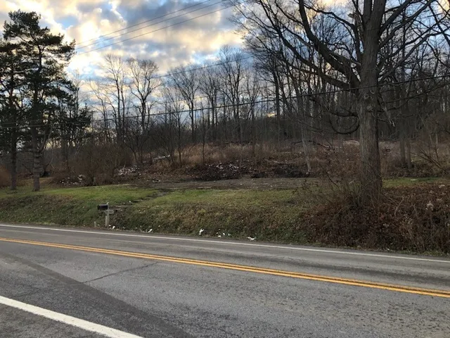 $115,000 | 5720 State Rte 21, South Bristol, NY 14512