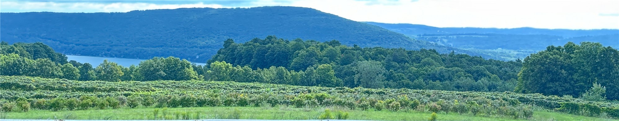 5720 State Rte 21 South Bristol, NY 14512 - Photo 2 of 15