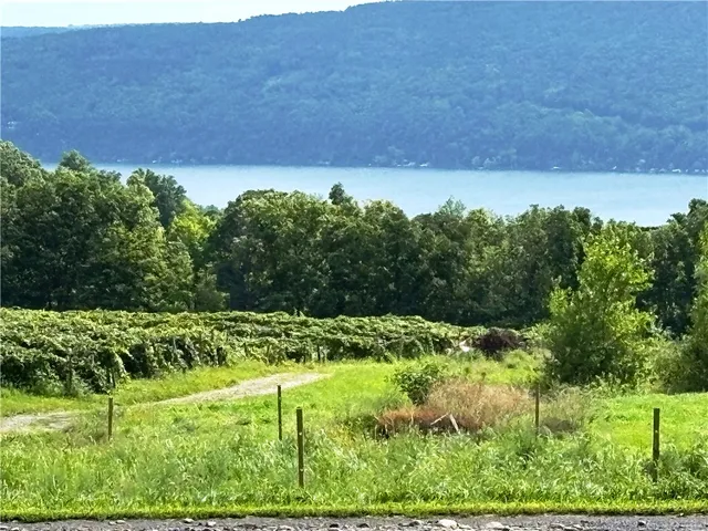 $115,000 | 5720 State Rte 21, South Bristol, NY 14512