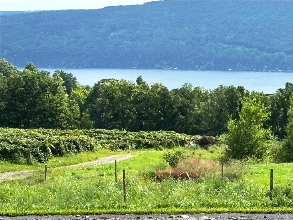 5720 State Rte 21 South Bristol, NY 14512 - Photo 3 of 15