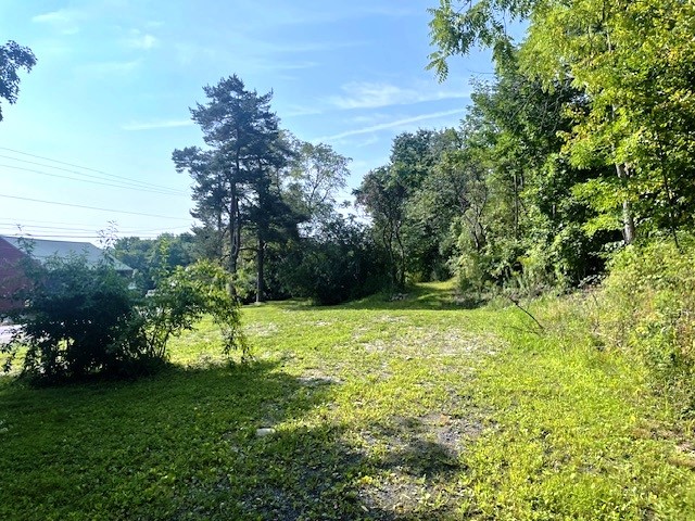 5720 State Rte 21 South Bristol, NY 14512 - Photo 4 of 15