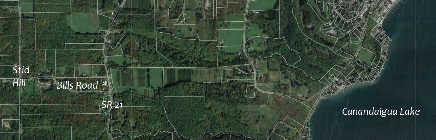 5720 State Rte 21 South Bristol, NY 14512 - Photo 5 of 15