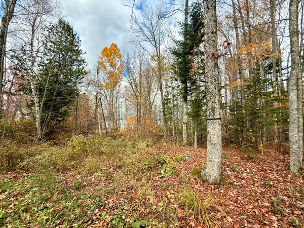 $205,000 | 22 Pine Tree Shore, Alexander, ME 04694