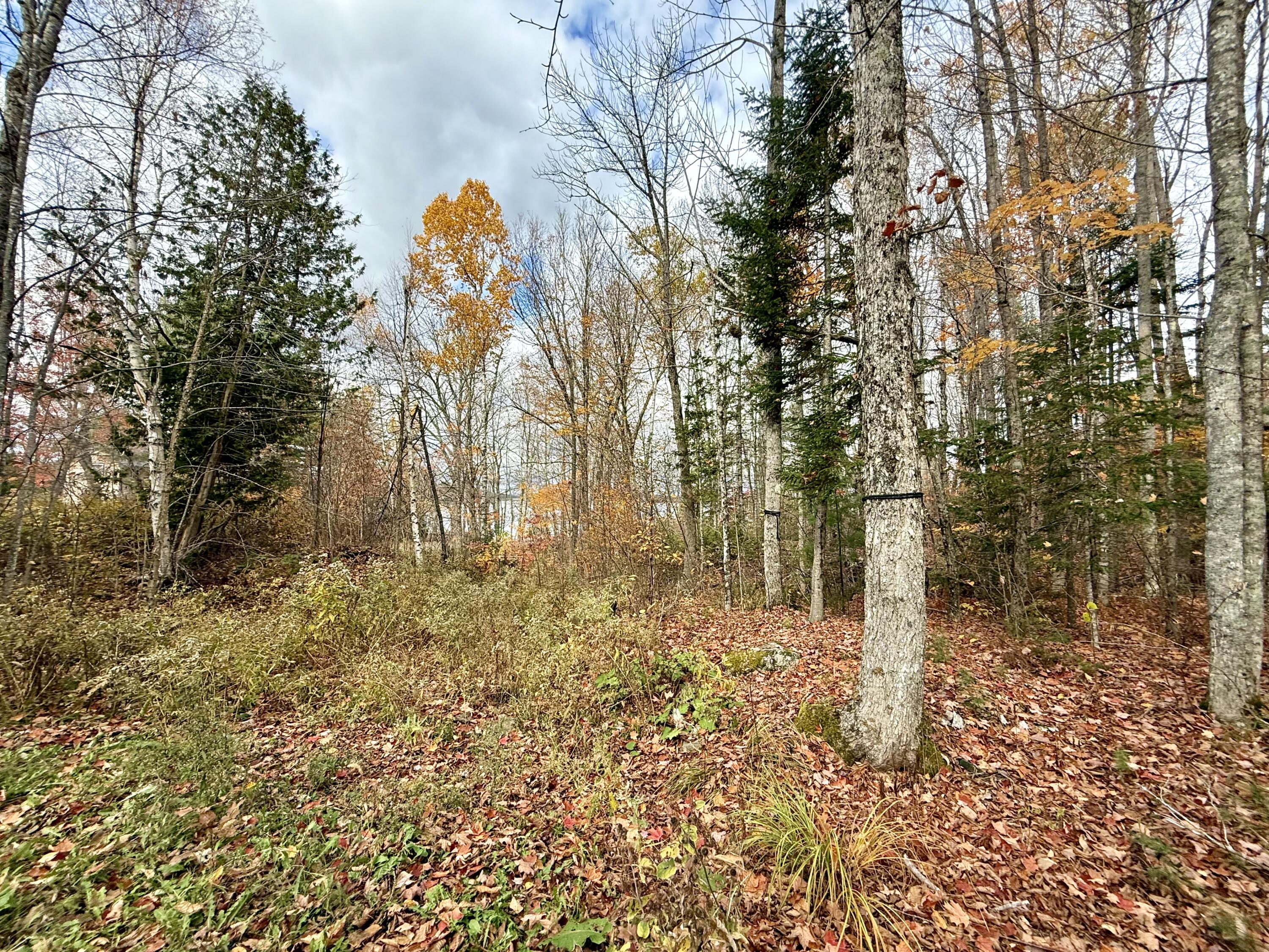 22 Pine Tree Shore Alexander, ME 04694 - Photo 11 of 54 6