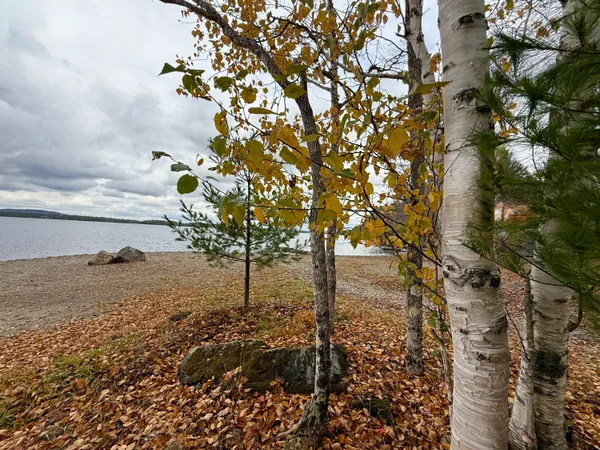 $205,000 | 22 Pine Tree Shore, Alexander, ME 04694