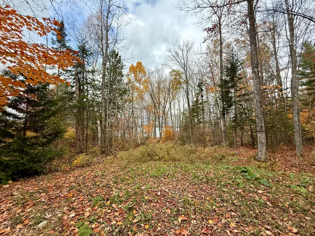 $259,000 | 22 Pine Tree Shore, Alexander, ME 04694
