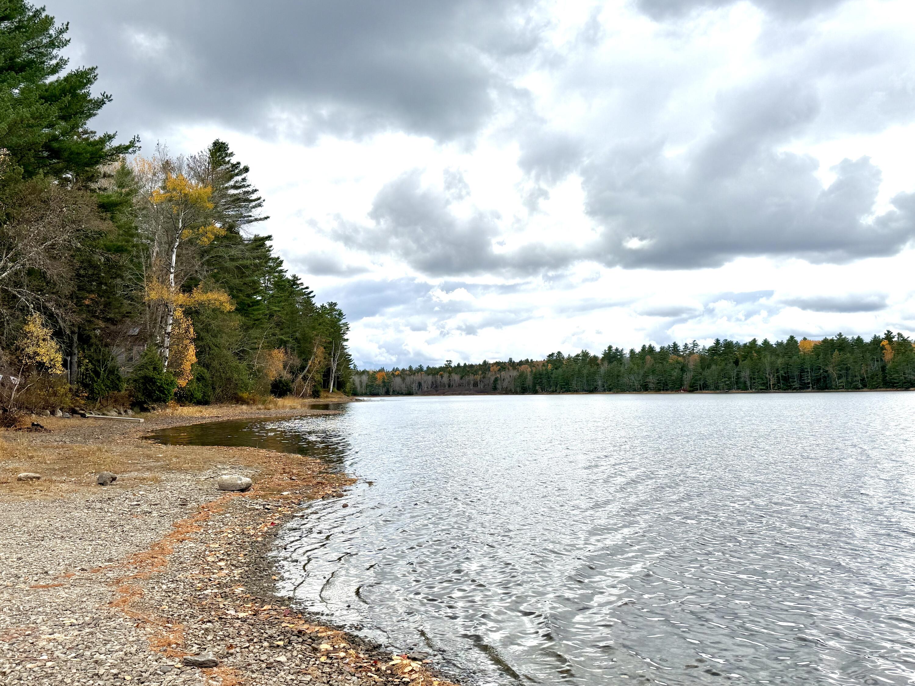 22 Pine Tree Shore Alexander, ME 04694 - Photo 5 of 54 58