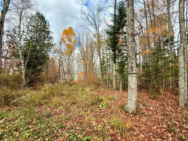 $259,000 | 22 Pine Tree Shore, Alexander, ME 04694