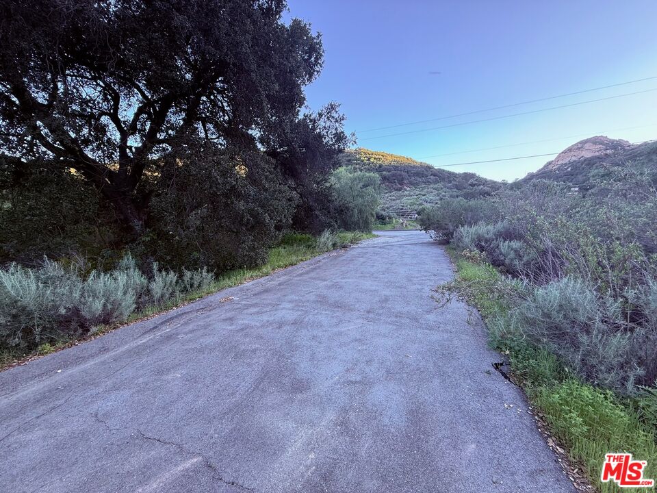 23629 Zuniga Road Topanga, CA 90290 - Photo 9 of 21