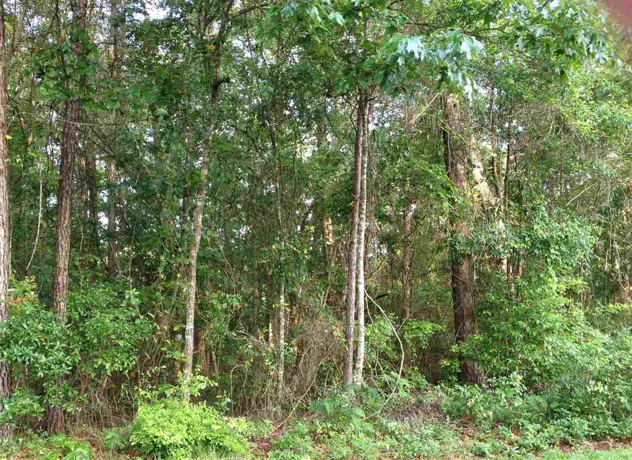 0 Tram Road Monticello, FL 32344 - Photo 1 of 1 Gallery Image 1