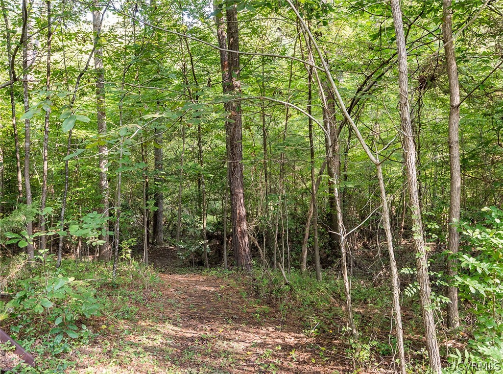 6850 Belmont Road Chesterfield, VA 23832 - Photo 35 of 48 Gallery Image 35