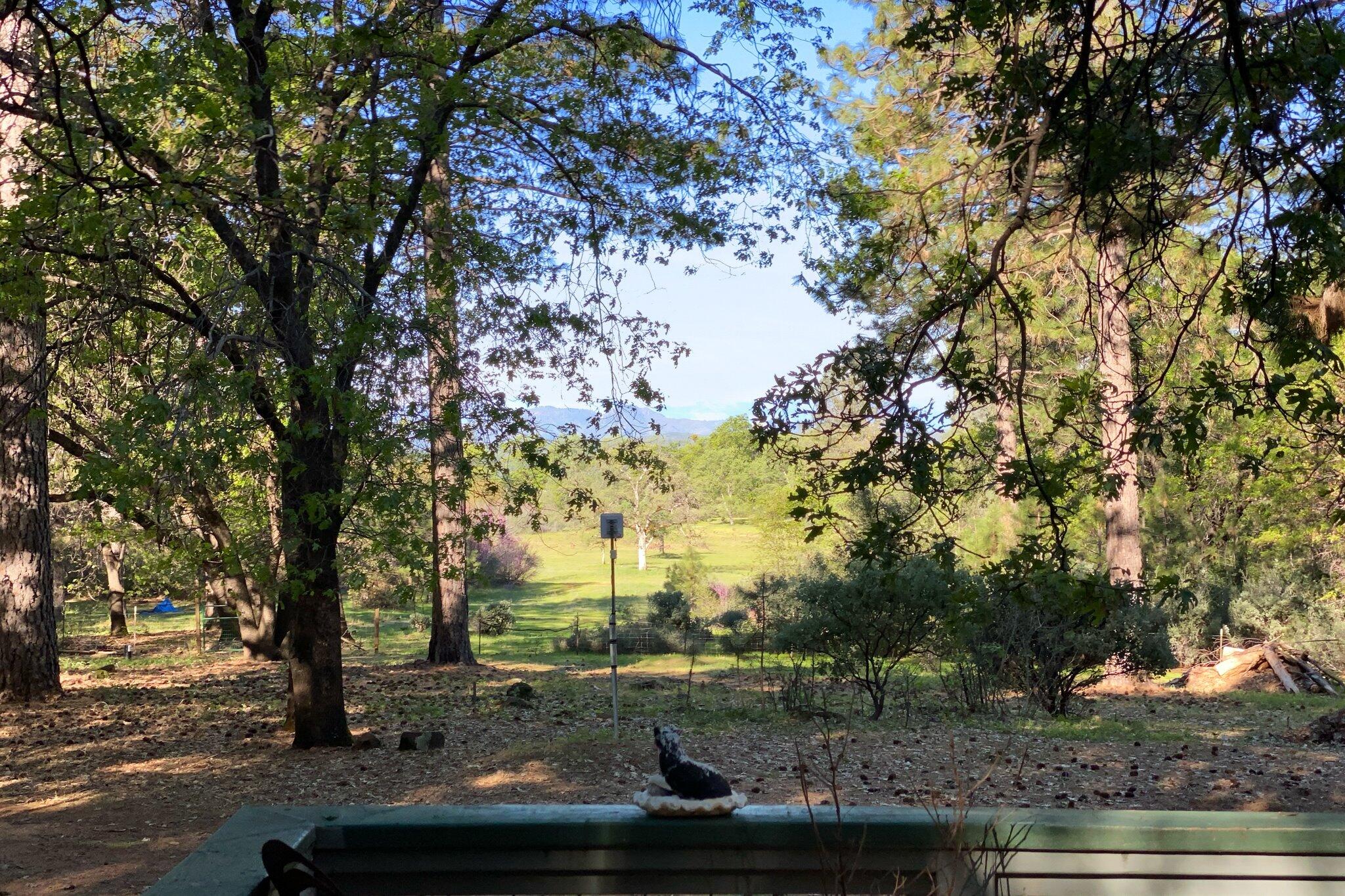 26997 Lookout Mountain Road Oak Run, CA 96069 - Photo 52 of 92 52-BiggerFlow Real Estate Media-52