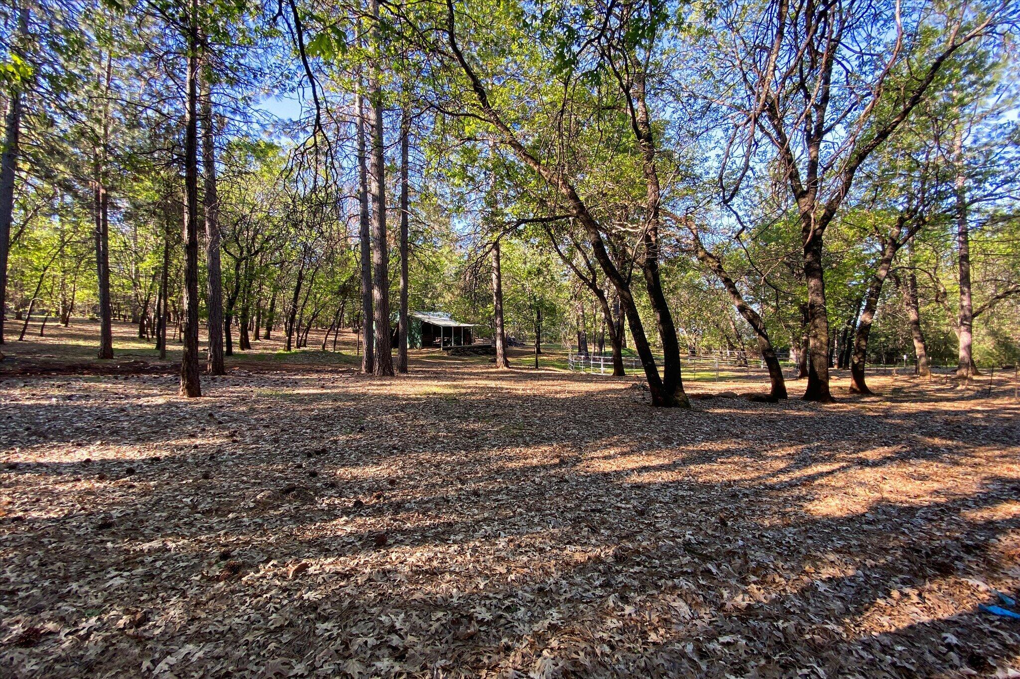 26997 Lookout Mountain Road Oak Run, CA 96069 - Photo 74 of 92 74-BiggerFlow Real Estate Media-74
