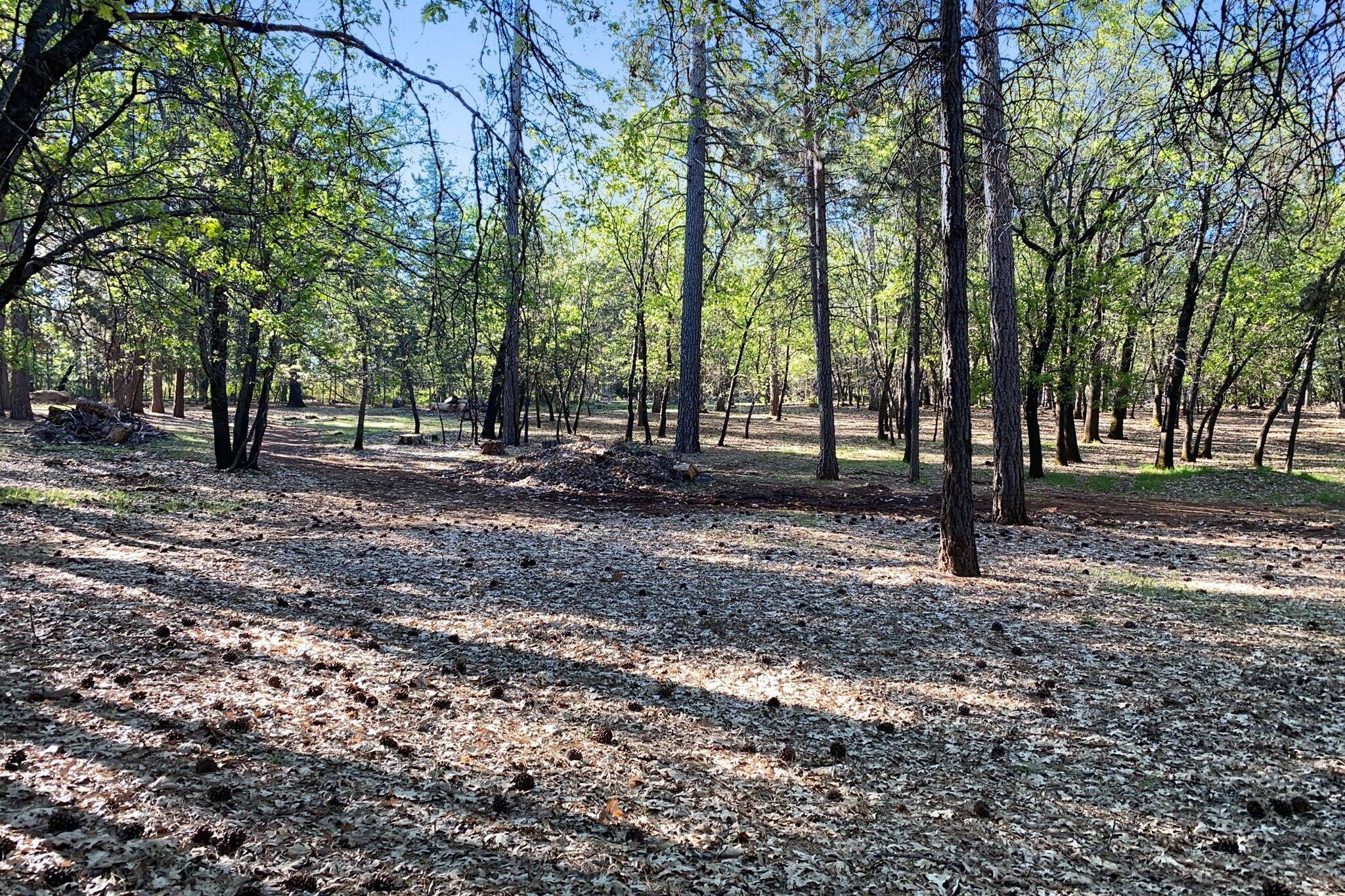 26997 Lookout Mountain Road Oak Run, CA 96069 - Photo 77 of 92 77-BiggerFlow Real Estate Media-77