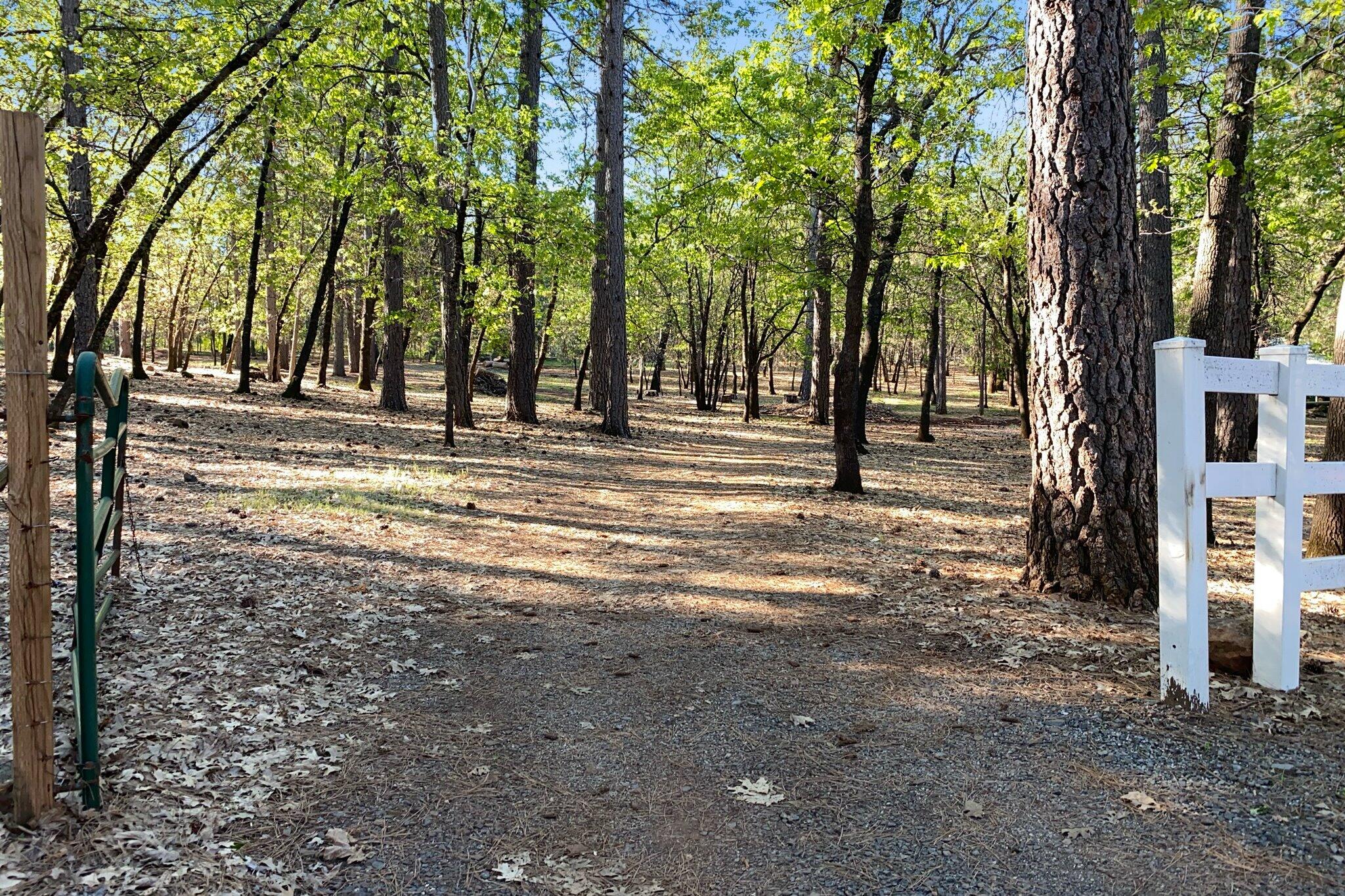 26997 Lookout Mountain Road Oak Run, CA 96069 - Photo 78 of 92 78-BiggerFlow Real Estate Media-78