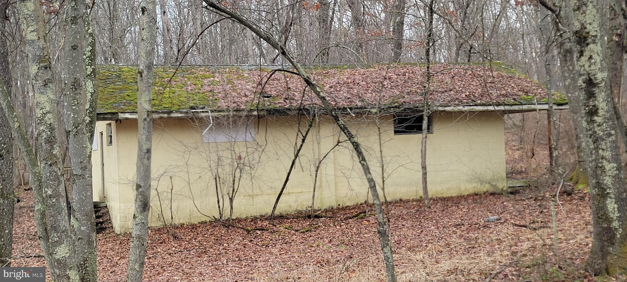Camp Galilee Road Terra Alta, WV 26764 - Photo 20 of 40