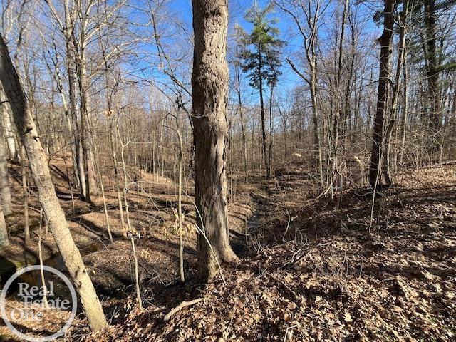 3846 Cribbins Road North Street, MI 48049 - Photo 51 of 62 50137981-cf4b2d27-07bb-4720-a120-9be53ca95ab1.JPG