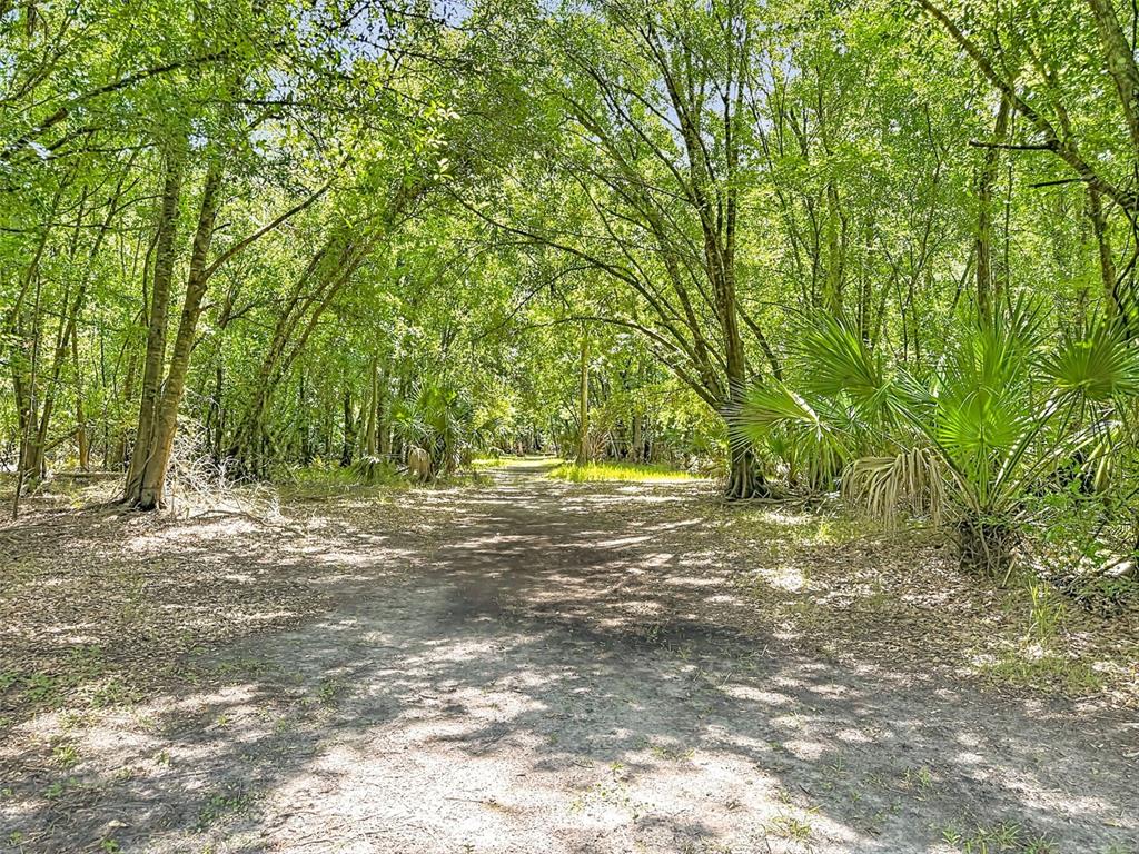 273 Griffin Road Wauchula, FL 33873 - Photo 44 of 48