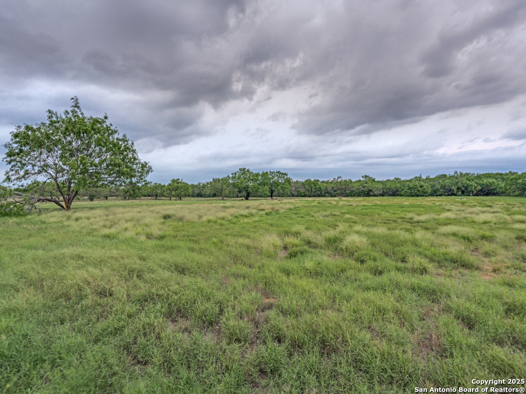 315 Simon Road Pleasanton, TX 78064 - Photo 29 of 37
