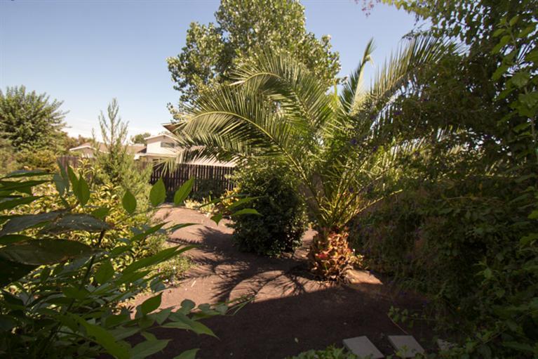 621 Abbott Avenue Reedley, CA 93654 - Photo 25 of 31 Gallery Image 25